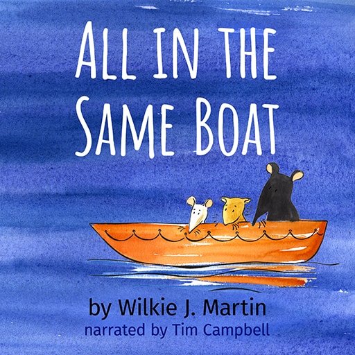 Audiobook cover All in the Same |Boat